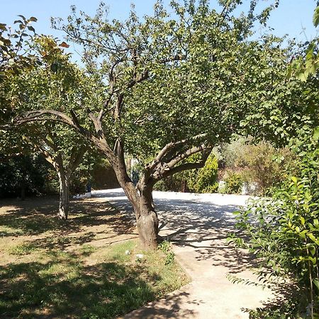 Rastoni Guest House Skopelos Dış mekan fotoğraf